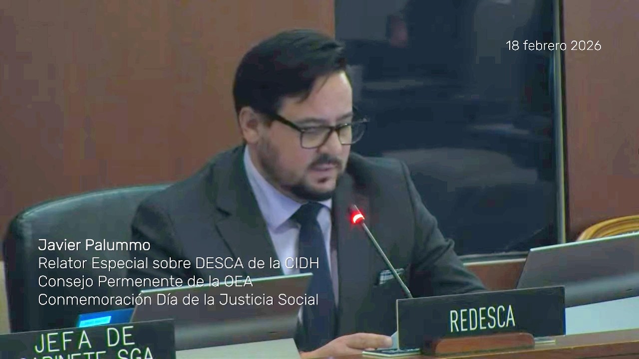 Relator Especial sobre DESCA en el Consejo Permanente de la OEA "Día de la Justicia Social"