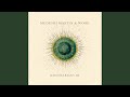 Satan Your Kingdom Must Come Down - Medeski, Martin & Wood - Topic Satan Your Kingdom Must Come Down