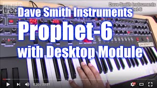 Dave Smith Instruments  PROPHET-6  Demo & Review