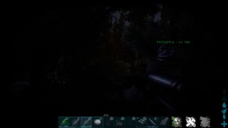 ARK　洞窟探索