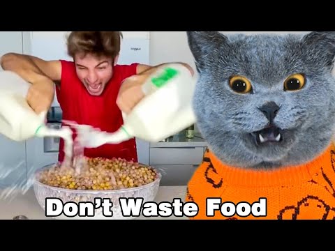 Just Use A Little Oscar! It’s Not Good To Waste Food😟👀|Oscar‘s Funny World|Cute And Funny Cat TikTok