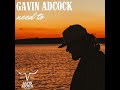 Gavin Adcock - Need To (Audio)