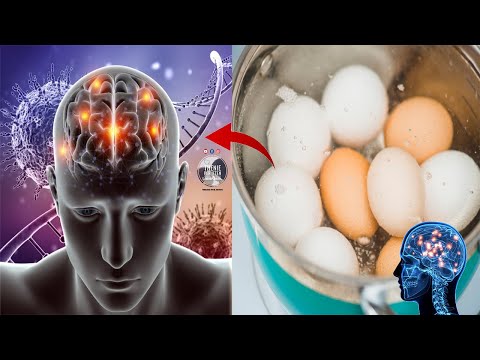 Ja sa vezë duhet që të hani per 1 dite në mënyrë që mos të plakeni dhe te kuroni trurin