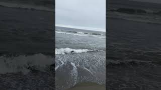 ［癒しBGM］海の音　#癒しbgm  #海 #探検 #自然音