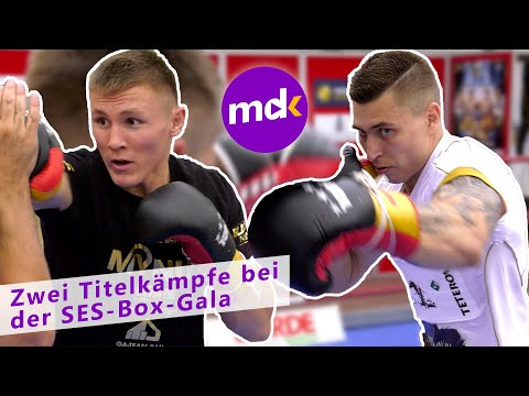 SES-Box-Gala mit zwei Titelkämpfen | Magdeburg News