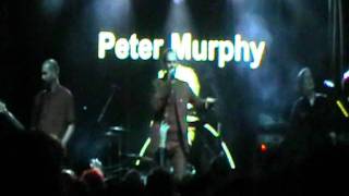 Peter Murphy - Memory Go (Madrid Heineken 03_10_11).MOD