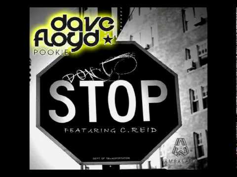 Dave Floyd featuring C.Reid - Don't Stop