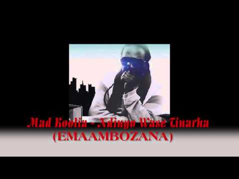 Tshangisa  Ofishal  aka Mad Koolia   Ndingo Wase TINARA (eMAMBOZANA)