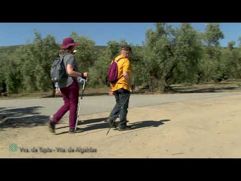 Great Malaga Path (GR 249). Stage 14. Villanueva de Tapia - Villanueva de Algaidas