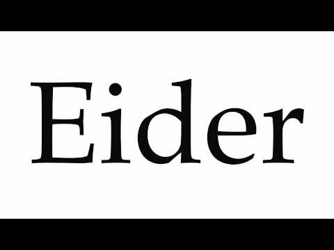 How to Pronounce Eider