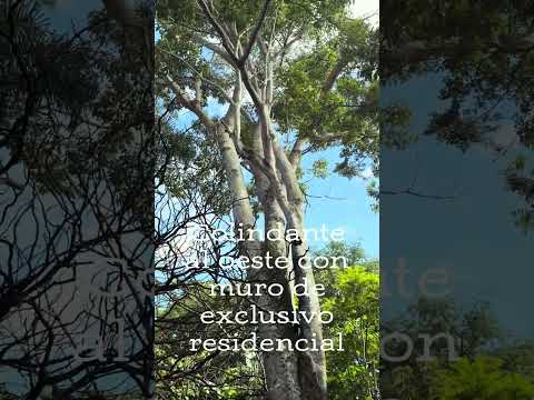 Se vende terreno en San Joaquín de Flores, Heredia , Costa Rica