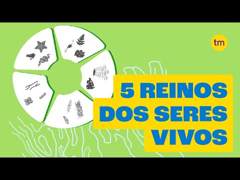 Conheça os 5 Reinos dos seres vivos