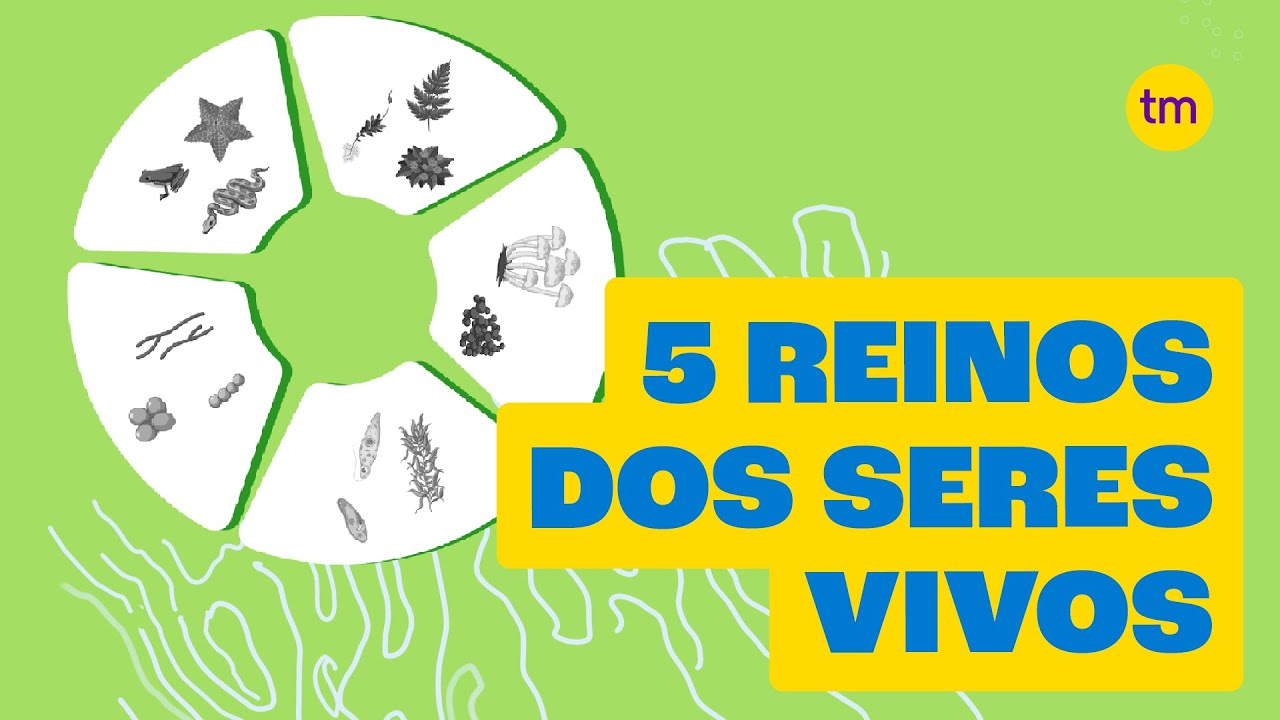 Conheça os 5 Reinos dos seres vivos