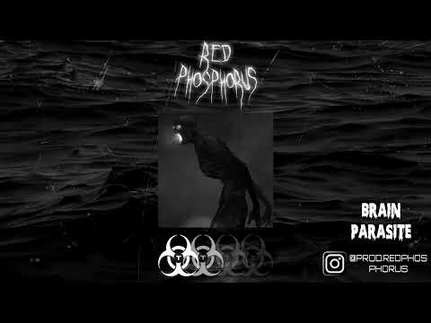 SCARLXRD x BVDLVD x PRXJEK TYPE BEAT "BRAIN PARASITE"