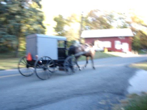 Amish