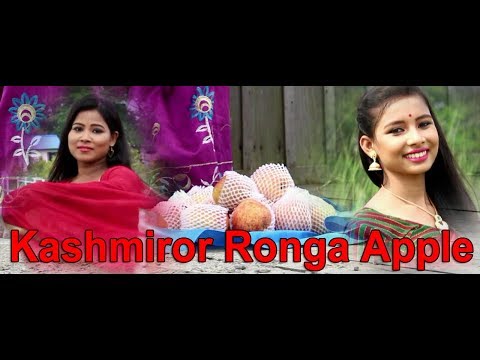 Kashmiror Ronga Apple II Samz Choudhury