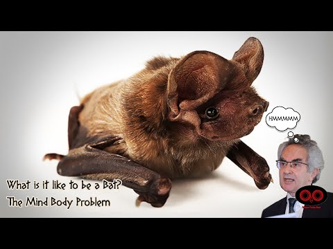 What is it like to be a Bat? The Mind Body Problem