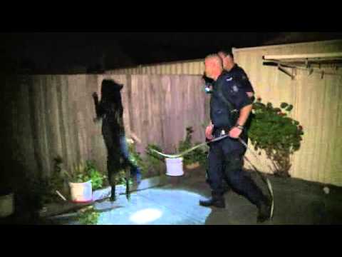 Send in the Dogs Australia - Teaser Trailer