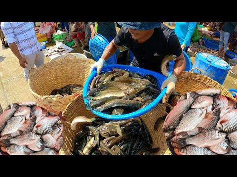 Amazing Wholesale Fish Market in Phnom Penh City|Mr.Sokol