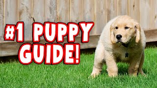 MOST RECOMMENDED Puppy Schedule!