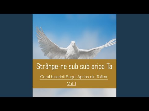 Zi de zi străbat valea plângeri