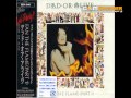 Dead Or Alive - Unhappy Birthday - Fan The ...