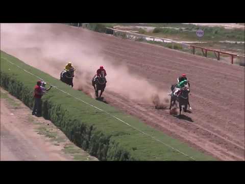 Ganador Hebra Negra-Carrera 10