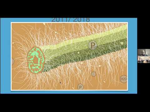 Jeff Lowenfels   The Updated Soil Food Web 10/12/23
