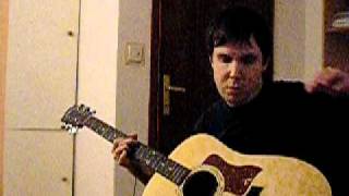 A Perfect Circle 3 Libras guitar, acoustic guitar, cover, guitarist Sunshine Trip, Taylor 110e