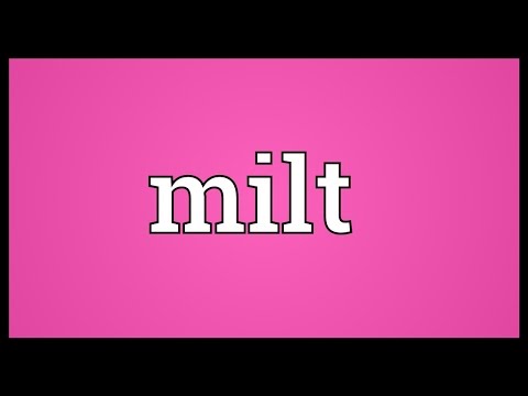 Milt Meaning