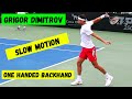 Grigor Dimitrov 🔥🎾 one handed backhand 🔥🎾 slow motion 🎾 ATP tennis 2023 🎾