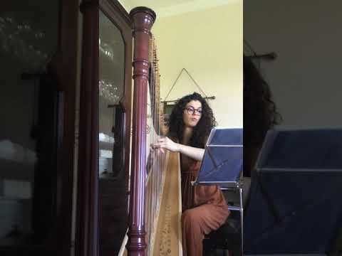 Sonata no 6- Naderman