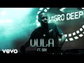 Vigro Deep - Vula (Visualizer) ft. Sax