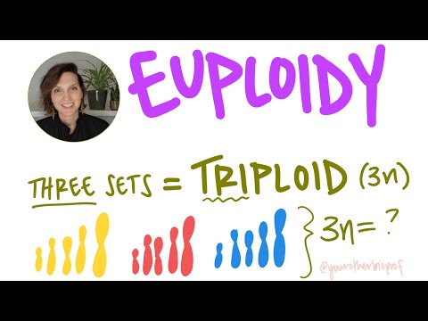 Euploidy: What is Haploid, Diploid, Triploid (n, 2n, 3n)?