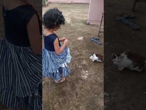 This little girl playing with a cat