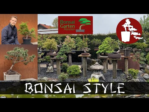 Workshop im Bonsai Garten München | Kiefer (Pinus) & Wacholder (Juniperus) | #021 Bonsai Style
