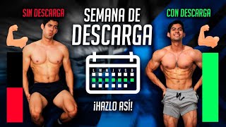 SEMANAS DE DESCARGA: ¿QUÉ SON Y CÓMO APLICARLAS? / ¡MÁXIMA GANANCIA DE MÚSCULO!