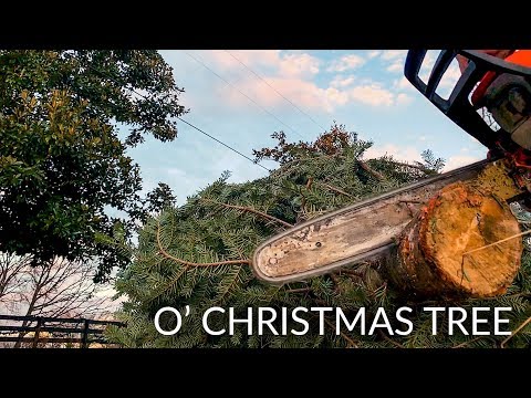 O Christmas Tree
