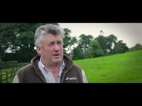 Garo De Juilley Ditcheat Thoroughbreds Update October 2016 with Paul Nicholls