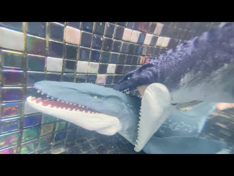 Double Mosasaurus Underwater Battle Jurassic World