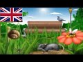 Learn Animals At The Garden Habitat 9 English