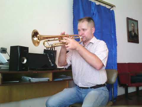 "My Heart Will Go On" from "Titanic". Trumpet cover.