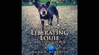 Audiobook (Pets / Dogs): Liberating Louie by Linda A. Meredith [narrated by Patte Shaughnessy]