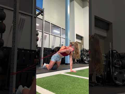Modified Plank With Unilateral Press And Adduction