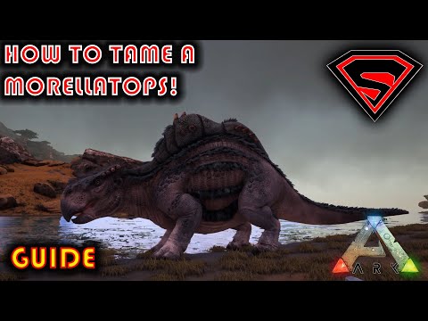 ARK HOW TO TAME A MORELLATOPS 2020 - EVERYTHING YOU NEED TO KNOW ABOUT TAMING A MORELLATOPS