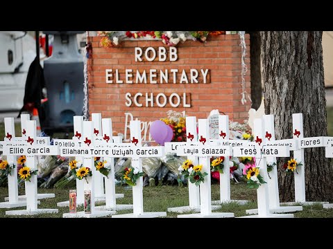 The Epidemic of Gun Violence in American Schools - Rountable