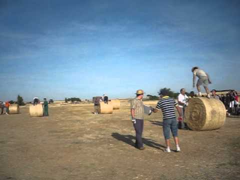 AGROLIMPIADAS - ALPACAS REDONDAS - COLLADO DE CONTRERAS