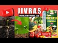 JIVRAS जड़ों की पूरी सुरक्षा करेगा ये प्रो