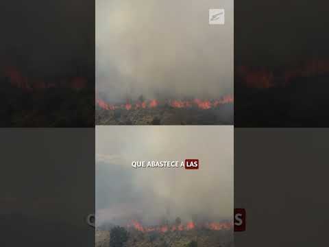 Quema de charral afecta una hectárea frente al INA