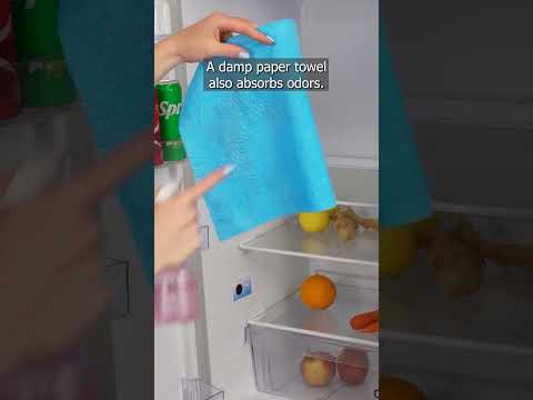 I ALWAYS KEEP A PAPER TOWEL IN THE FRIDGE